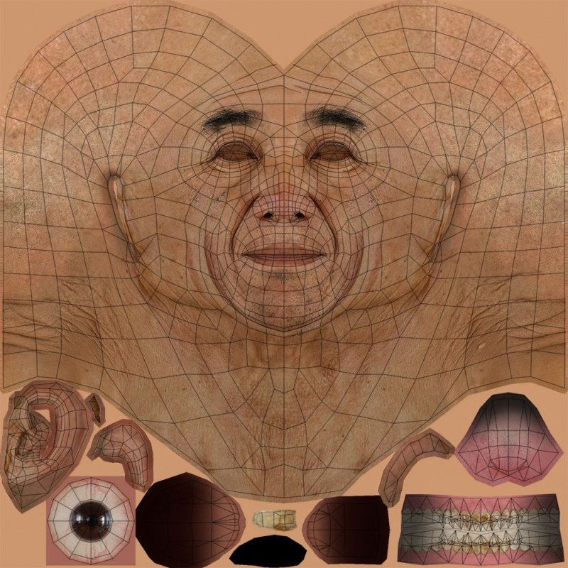 Развертка лица человека