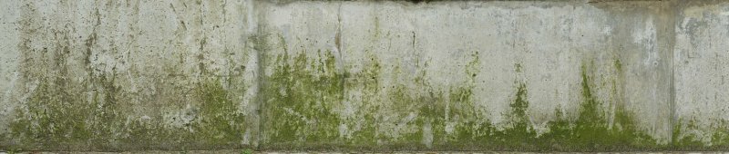 Плесень на бетонной стене