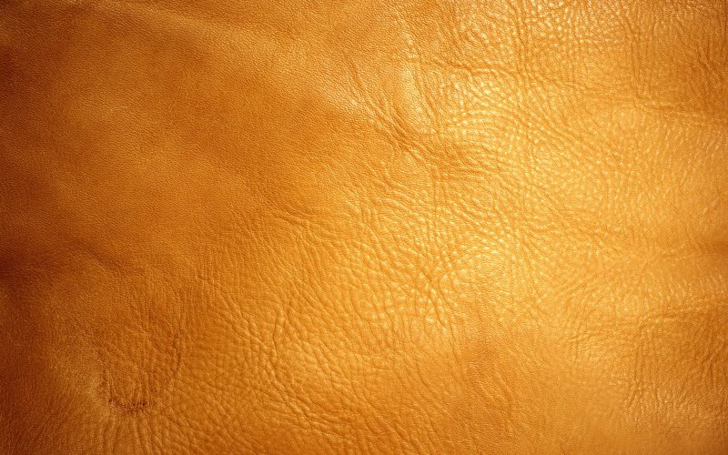 Текстура кожи