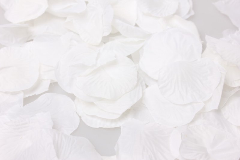 Лепестки белых цветов