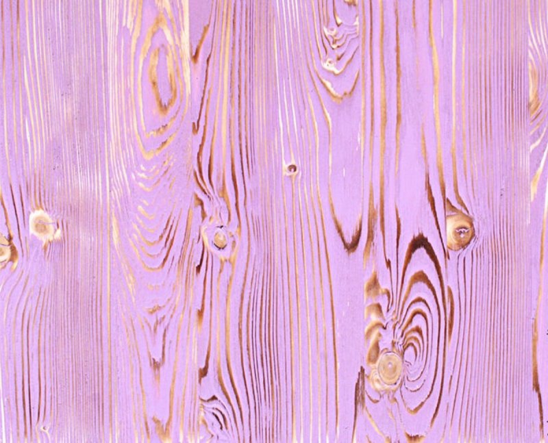 Текстура дерева