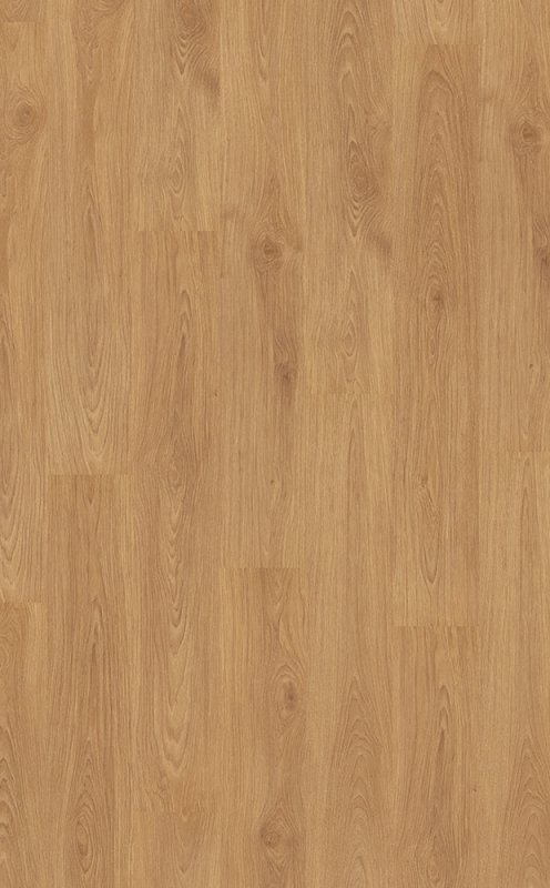 Текстура дерева бесшовная