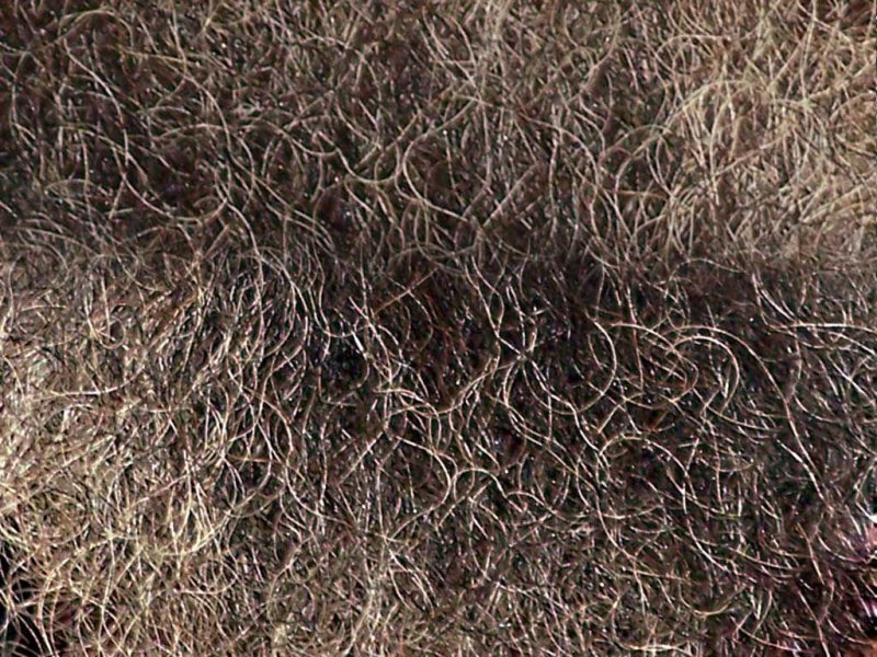 Фактура борода