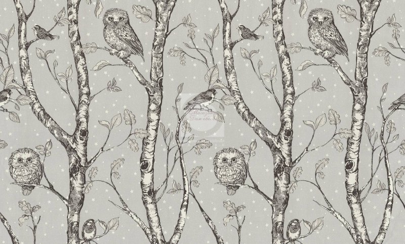Сова обои
