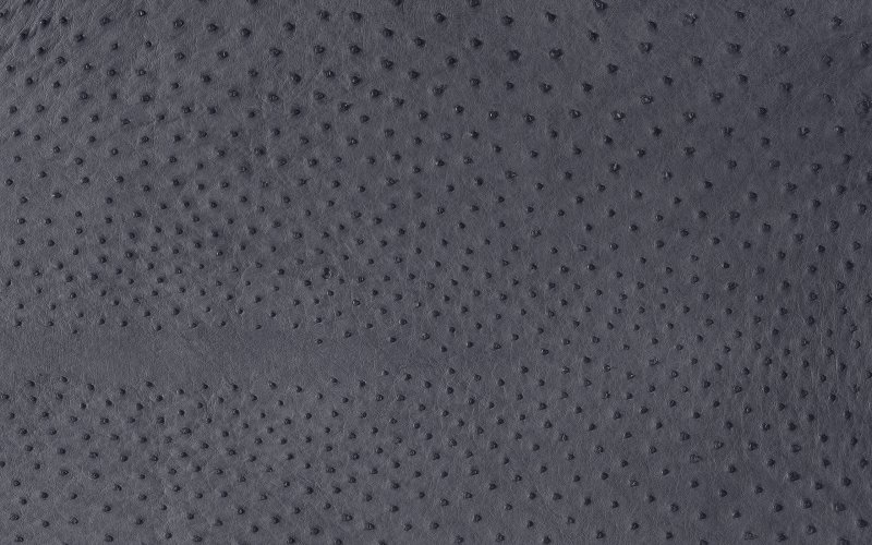 Перфорация кожи