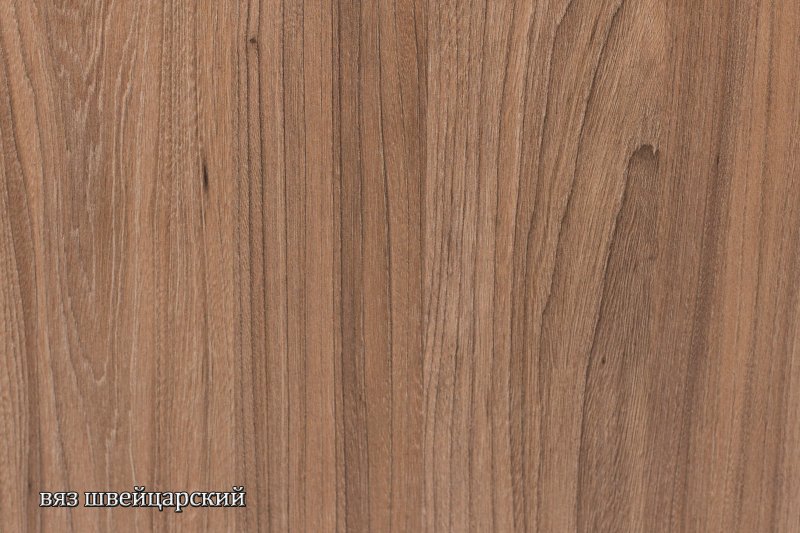 Вяз швейцарский u1114