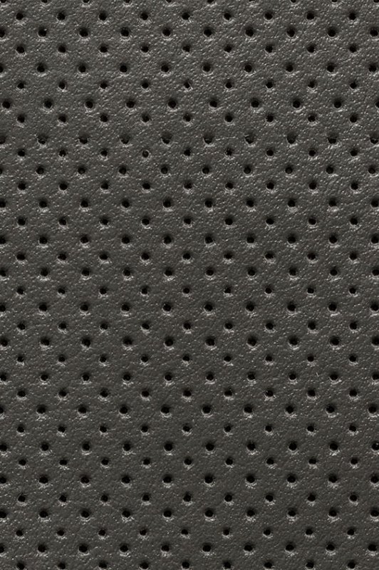 Перфорированная кожа