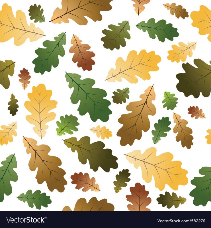 Дубовый лист вектор