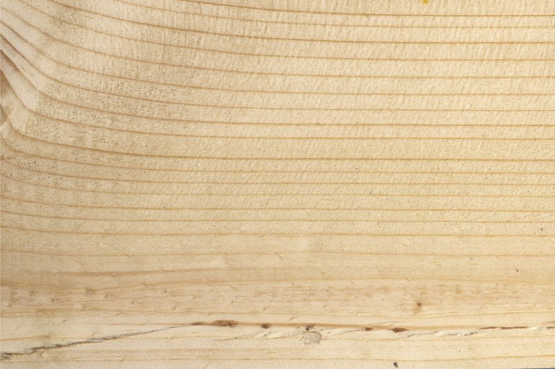 Пихта продольный срез