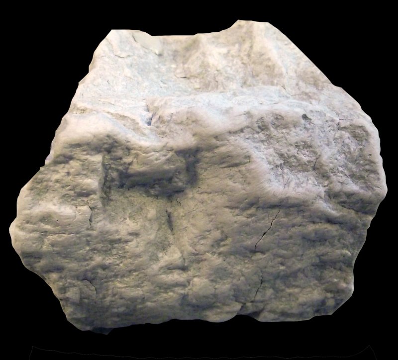 Диатомит Горная порода