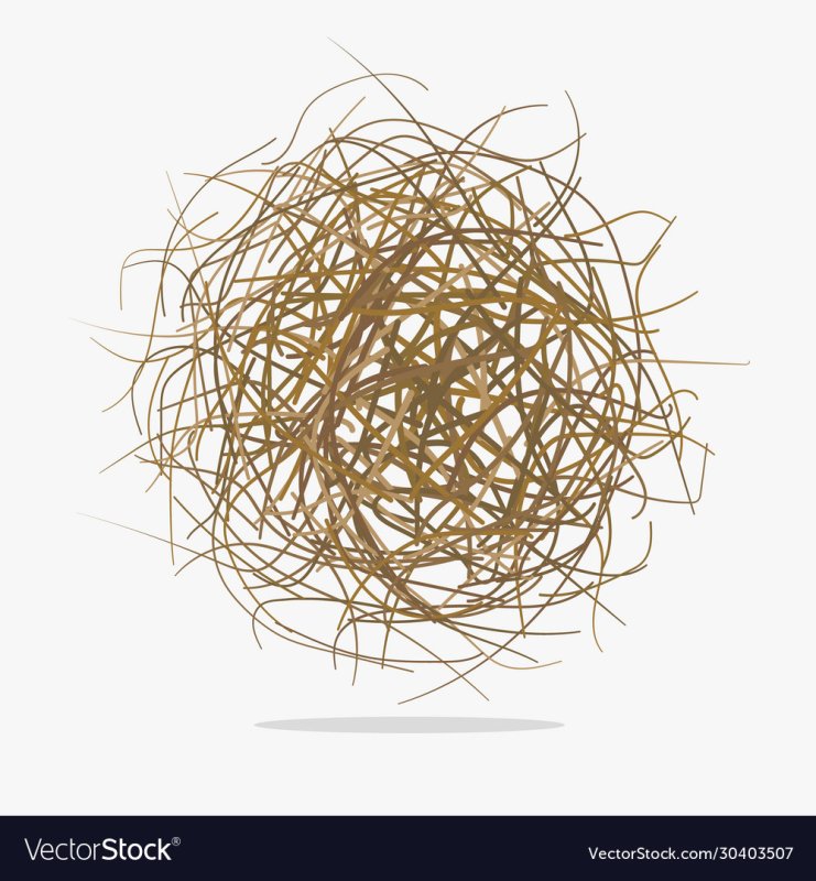 Перекати-поле растение