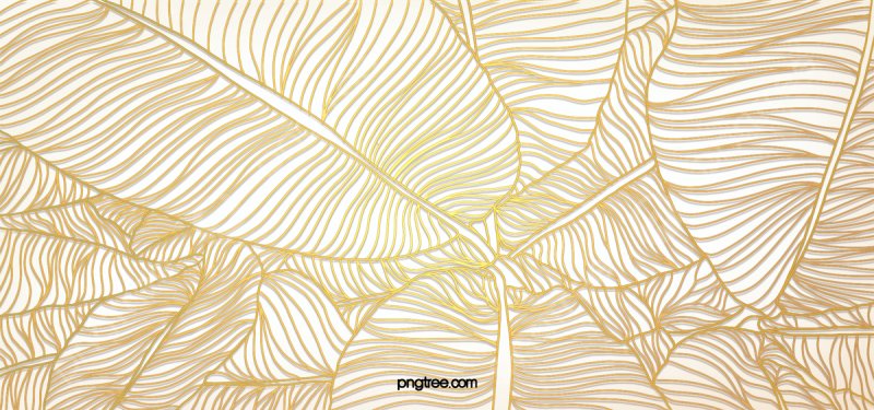 Золотые линии