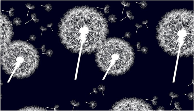 Одуванчик картинка