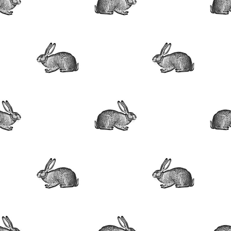 Зайцы паттерн