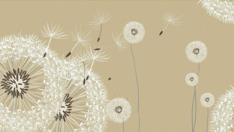 Одуванчик рисунок