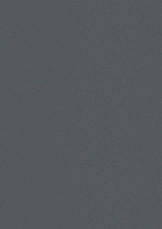 Адилет графит SF 019