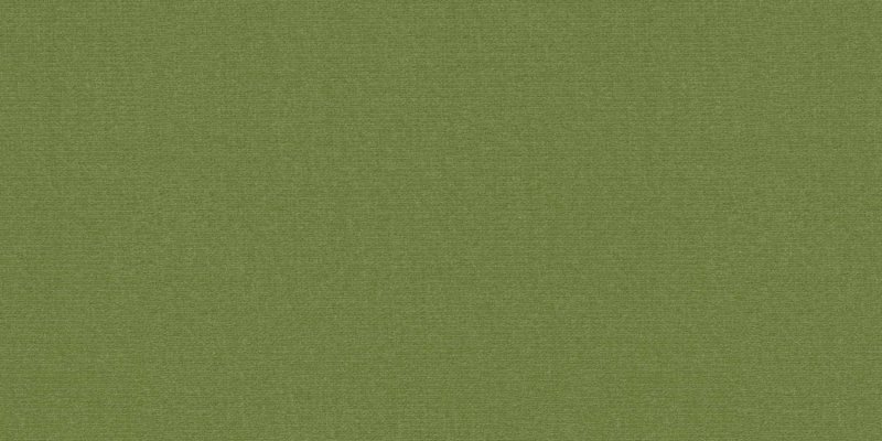 Оливковая текстура