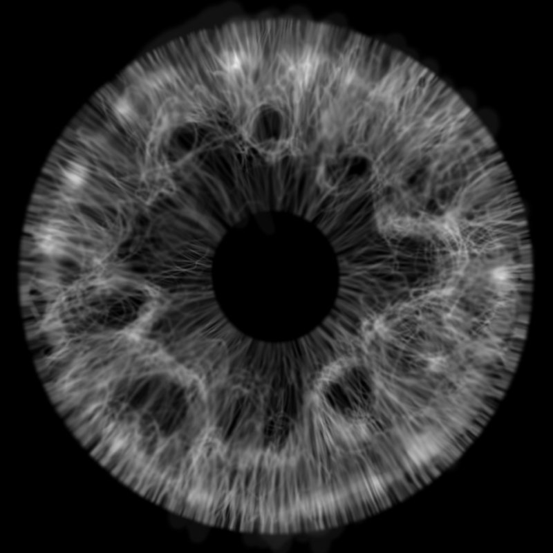 Радужка глаза