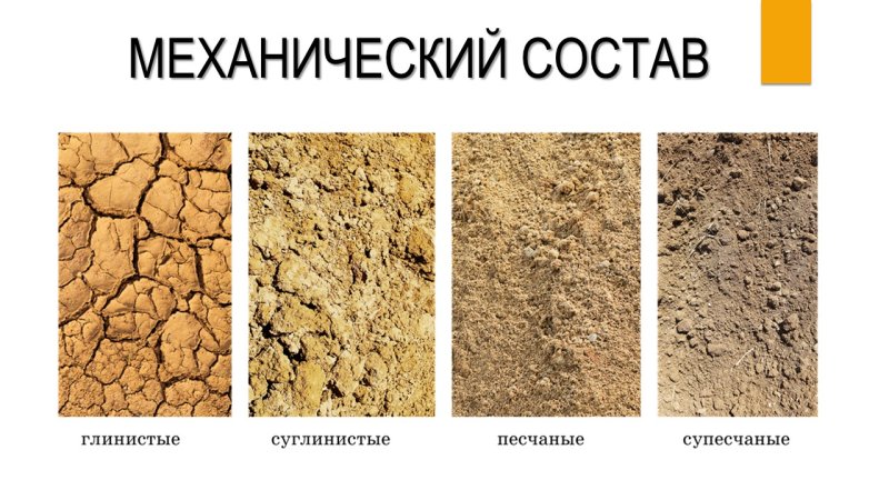 Супесчаная , суглинистая и Песчаная почва