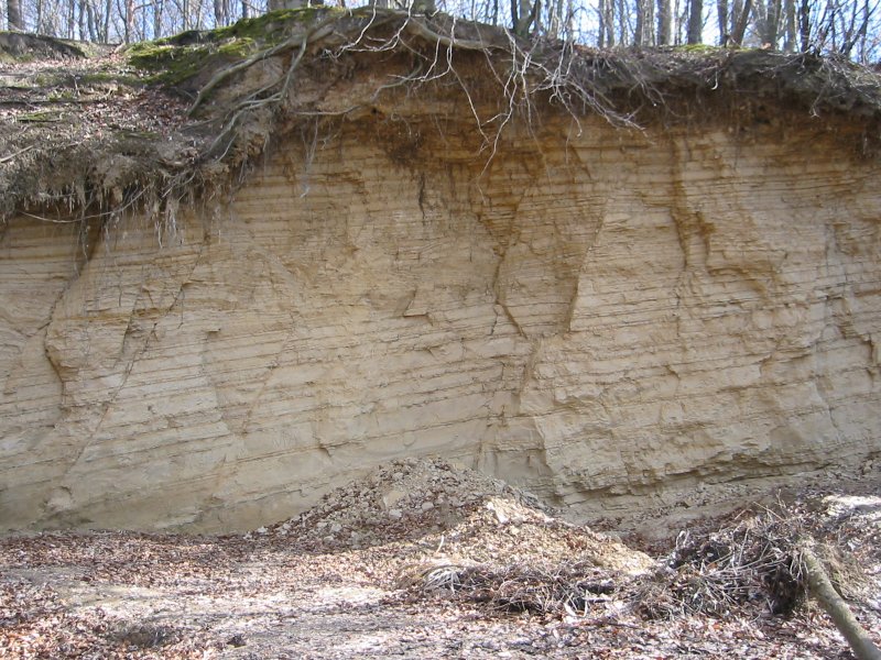 Озерно-ледниковые глины