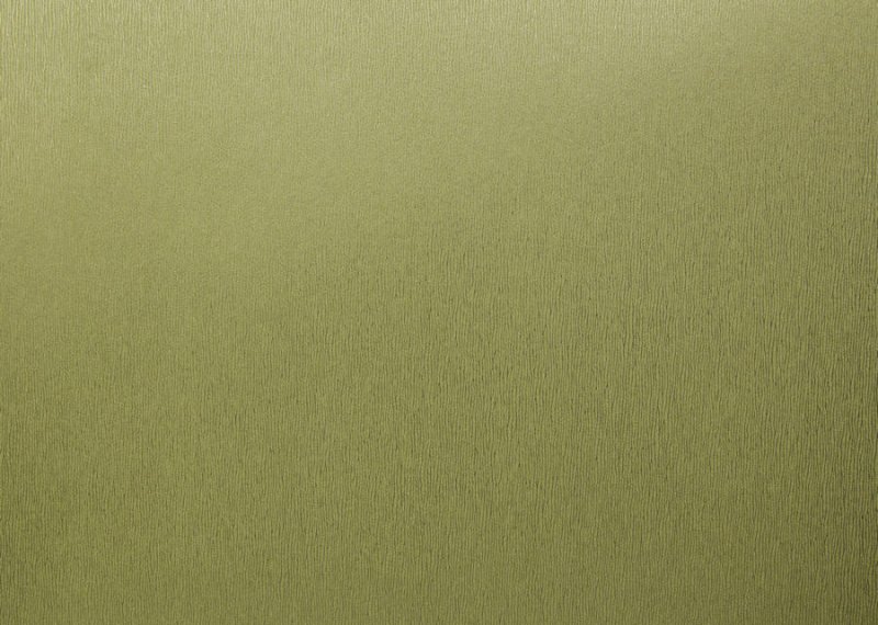Оливковый цвет текстура