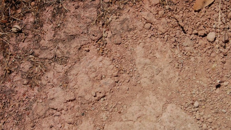 Супесь бурая песчанистая