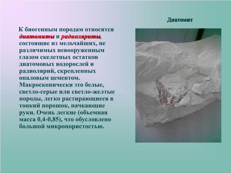 Диатомит и трепел