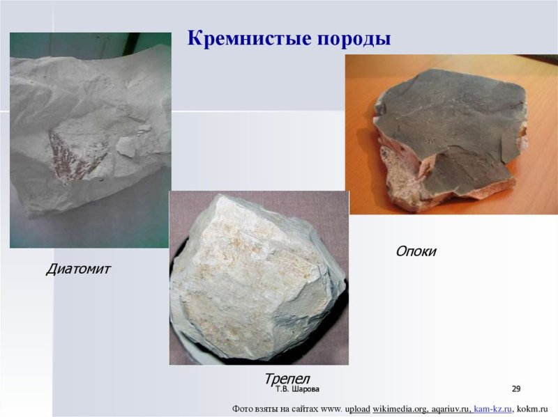 Трепел Горная порода