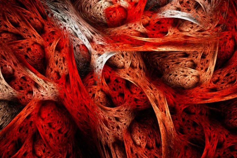 Мышечная ткань текстура