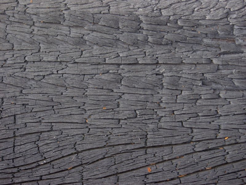 Текстура дерева