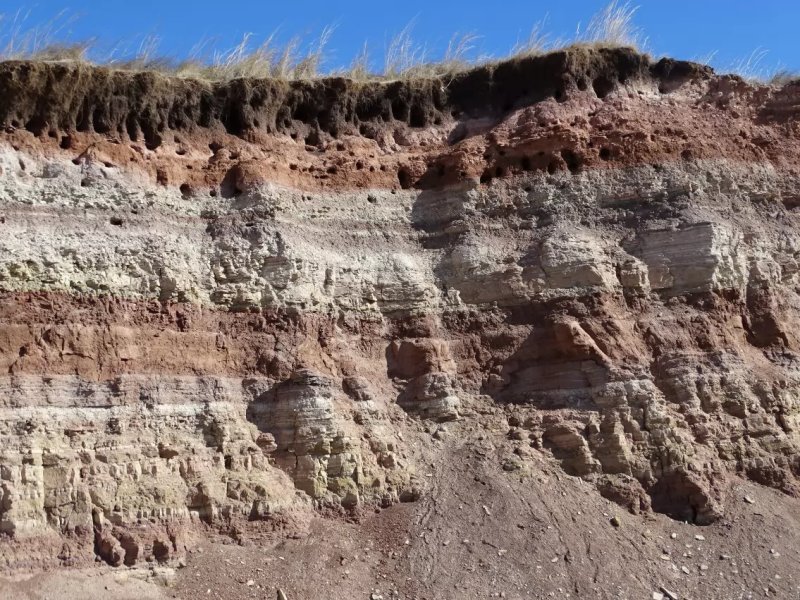 Лагунные отложения