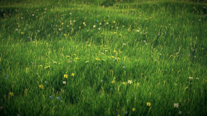 Лесная Поляна Blender