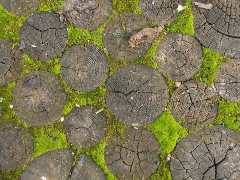 Каменная дорожка текстура