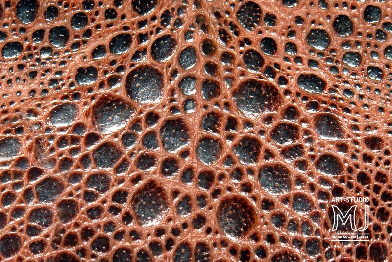 Лягушачья кожа