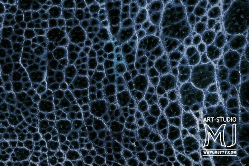 Текстура лягушки