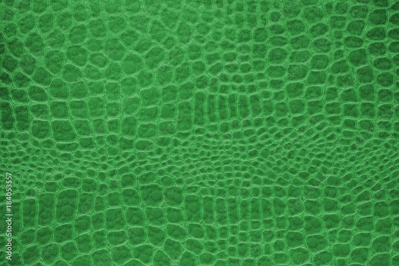 Змеиная кожа зеленая