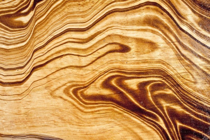 Древесина мангового дерева