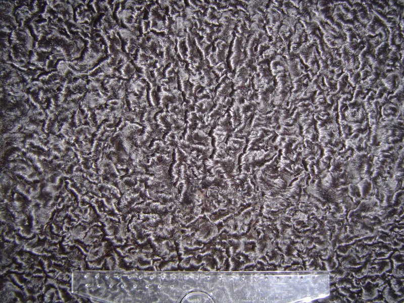 Каракуль (мех)