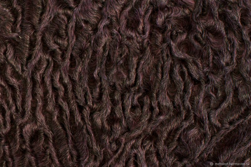 Каракуль каракульча мерлушка