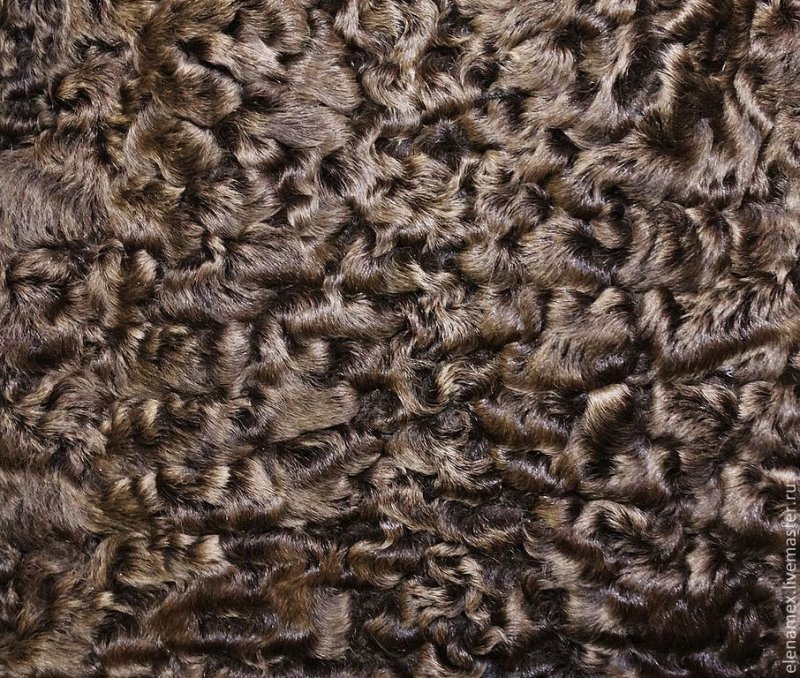 Каракуль Антика