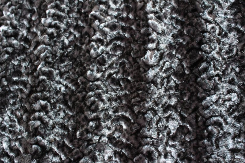 Каракуль каракульча мерлушка