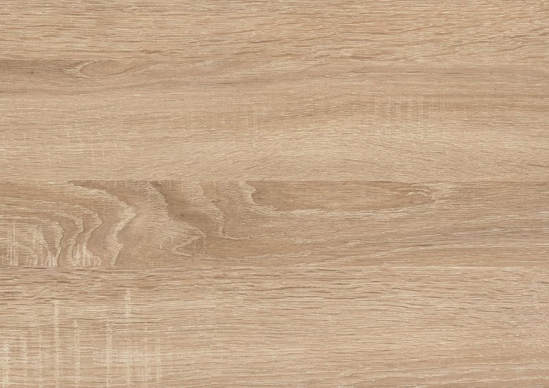 Дуб Бардолино (h1145 st10)