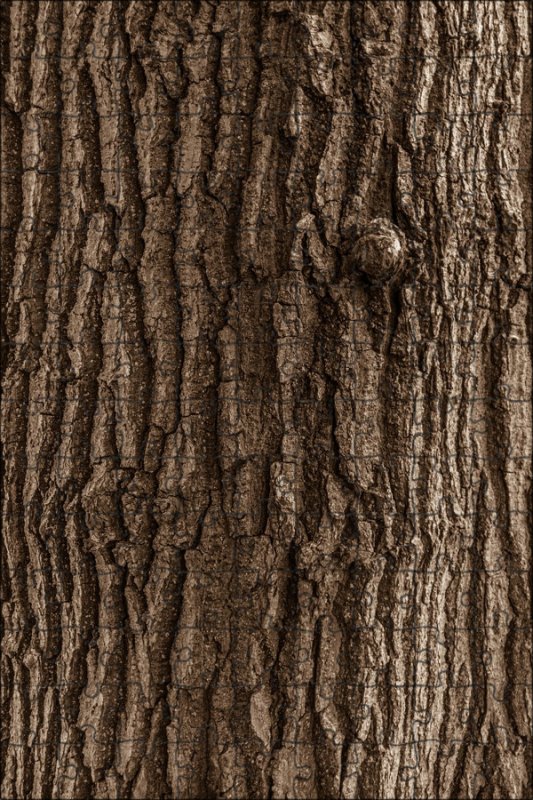 Фактура дерева