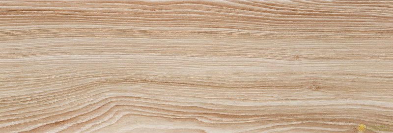 Ясень продольный срез