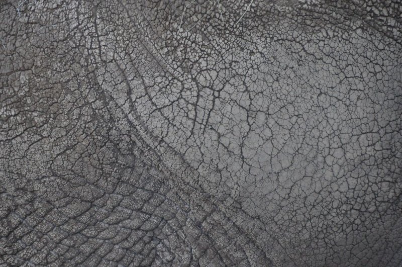 Кожа Zbrush Alpha текстура