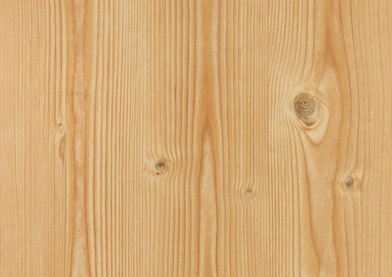 Фактура дерева сосна