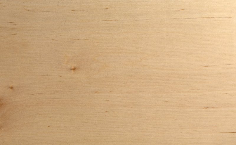 Липа фактура древесины