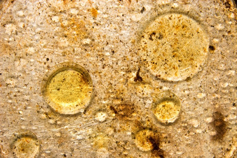 Текстура жира