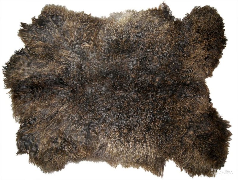 Шкура текстура