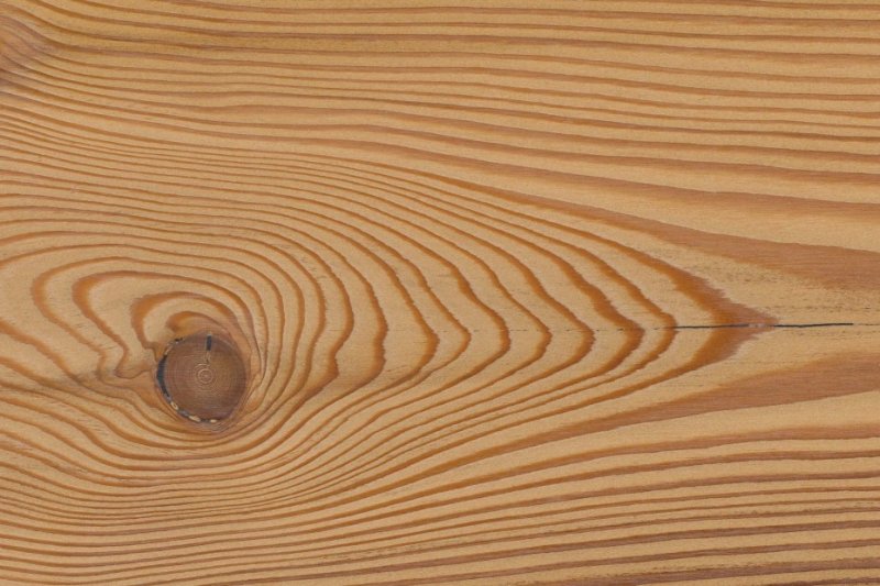 Лиственница Сибирская древесина